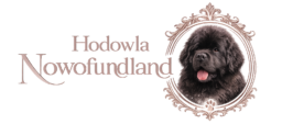 Hodowla-nowofundland.pl